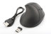 Assmann DA-20155 Sarjlı Ergonomik Kablosuz Mouse resmi