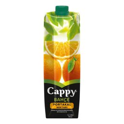 Cappy Meyve Suyu Portakal Nektarı 1 l 12'li Paket resmi