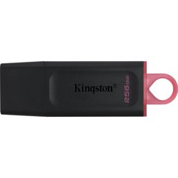 Kingston 256 gb USB3.2 DataTrvEx USB Bellek  resmi