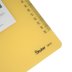 Shuter S810 A4 Kapaksız Sekreterlik - Sarı resmi