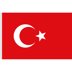 Vatan 102 Türk Bayrağı 30 Cm X 45 Cm resmi