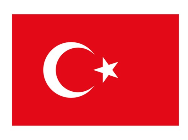 Vatan 107 Türk Bayrağı 80 cm x 120 cm resmi